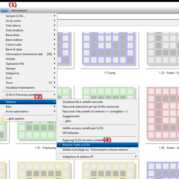 Cosa significa registrare  .qdr per Quad File Explorer
